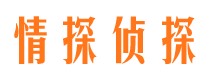 江山市婚姻调查